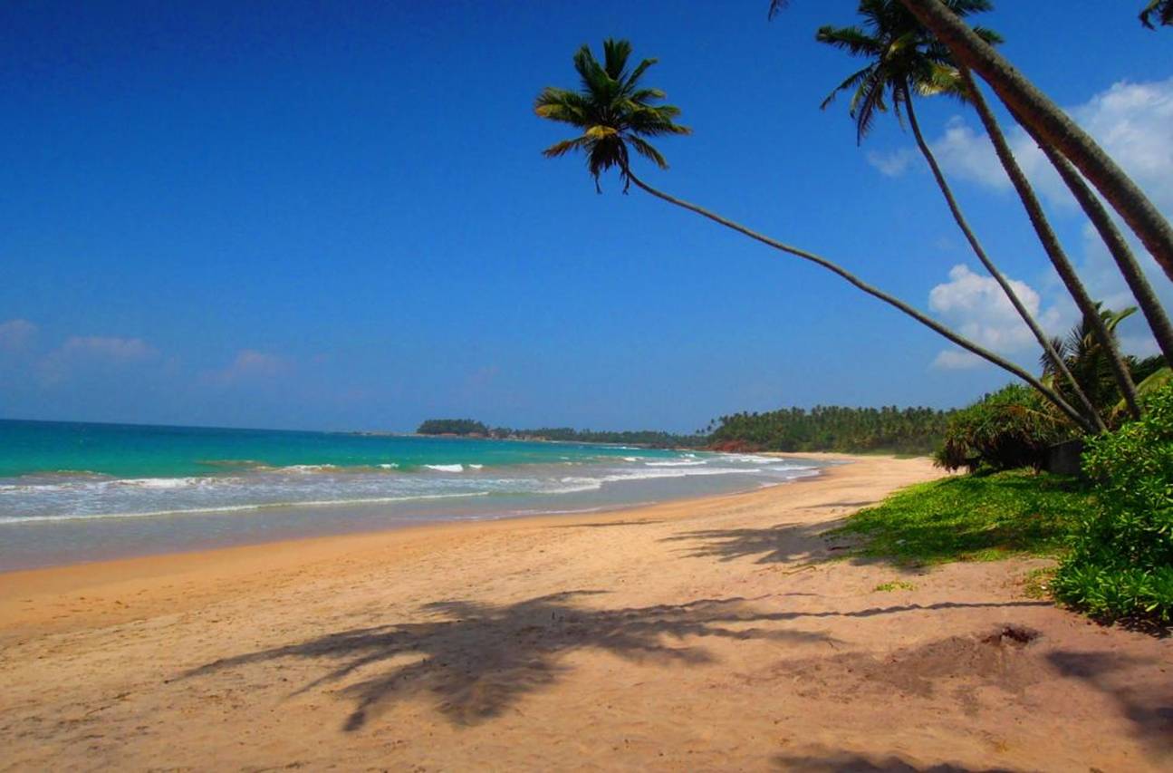 ayurveda-strand.jpg